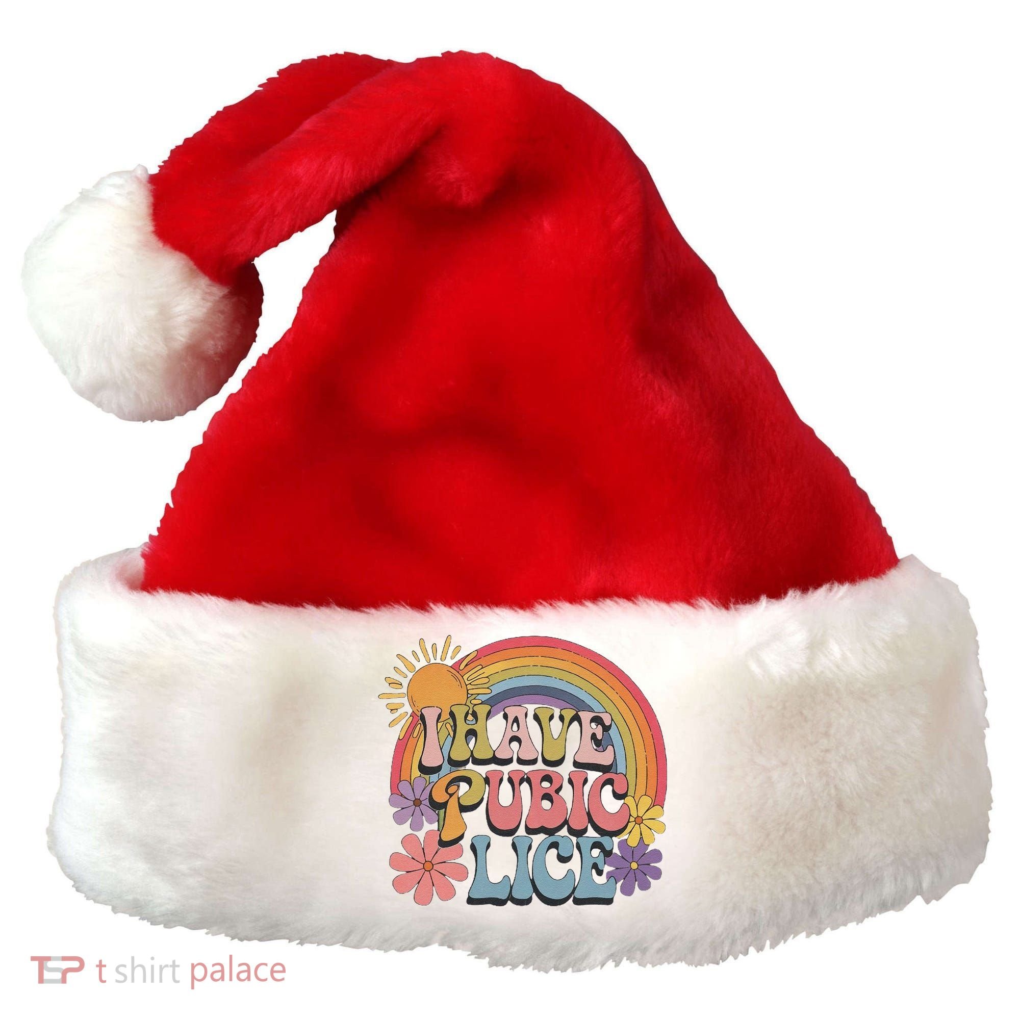 I Have Pubic Lice Funny Retro Offensive Inappropriate Meme Santa Hat