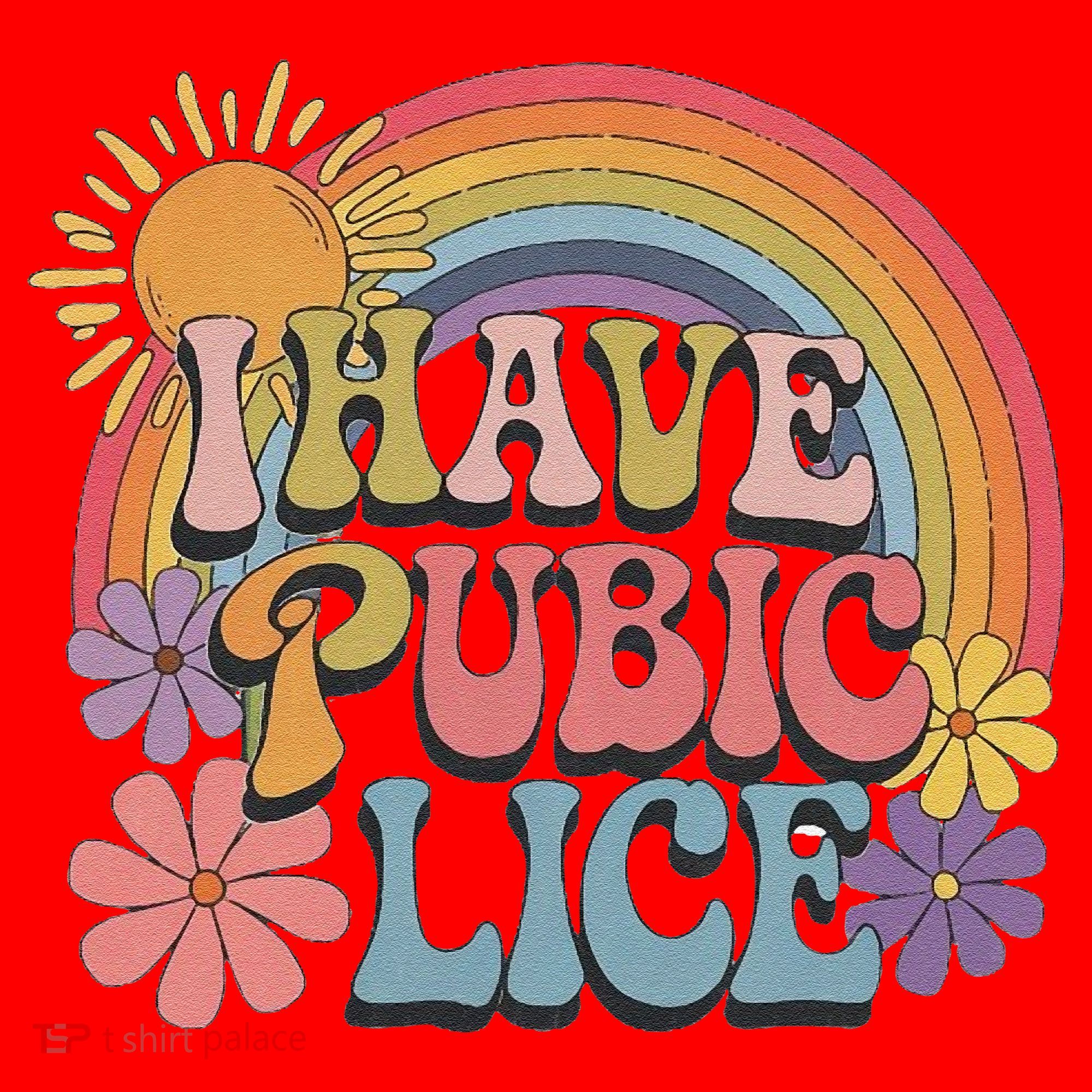 I Have Pubic Lice Funny Retro Offensive Inappropriate Meme Santa Hat