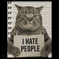 I Hate People Funny Jail Cat Toddler Hoodie thumb 2
