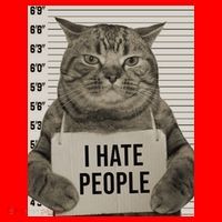 I Hate People Funny Jail Cat Santa Hat thumb 1