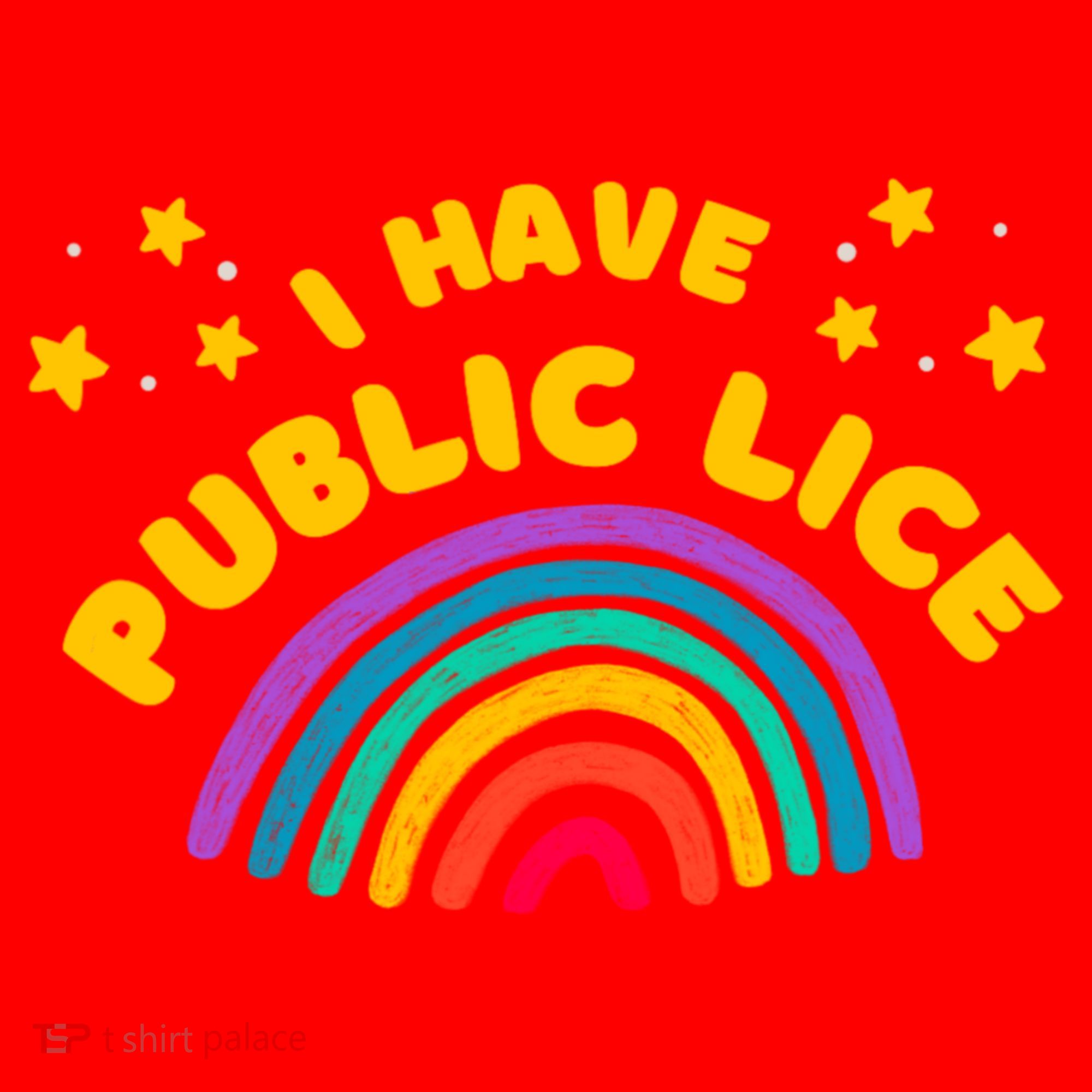 I Have Pubic Lice Funny Retro Offensive Inappropriate Meme Santa Hat