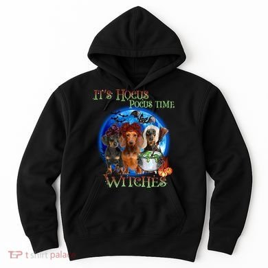 It's Hocus Pocus Time Witches Dachshund Halloween Design Hoodie