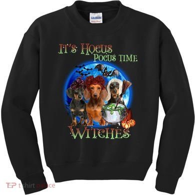 It's Hocus Pocus Time Witches Dachshund Halloween Design Kids Sweatshirt