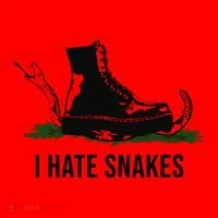 I Hate Snakes Don't Thread On Me Flag Santa Hat thumb 1