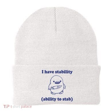 I Have Stability Ability To Stab Funny Beanie