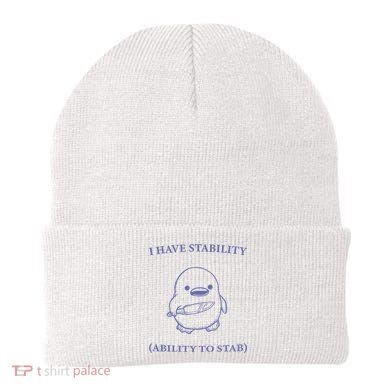 I Have Stability Ability To Stab Beanie