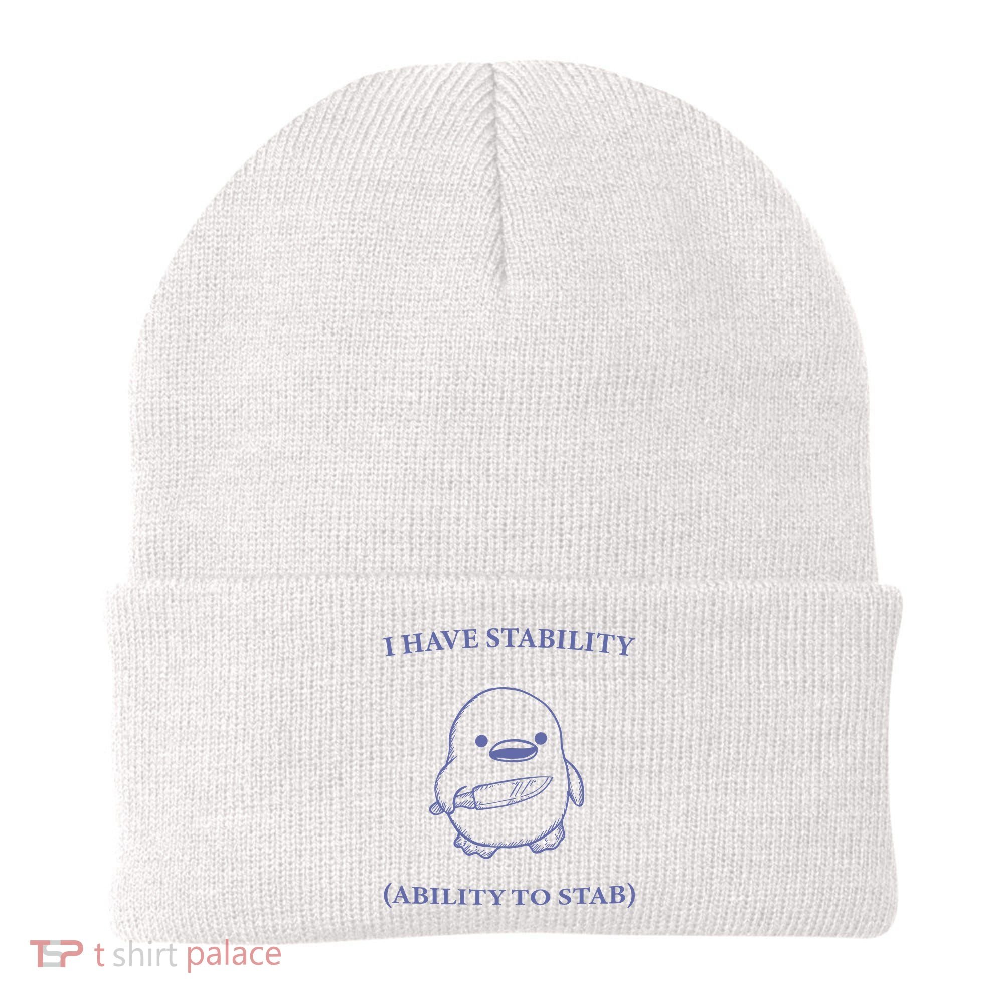 I Have Stability Ability To Stab Beanie