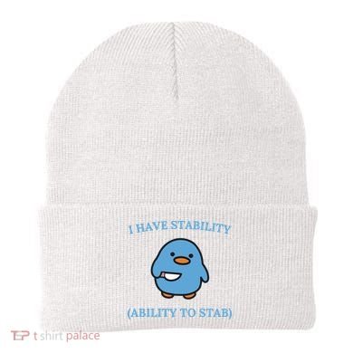 I Have Stability Ability To Stab Beanie