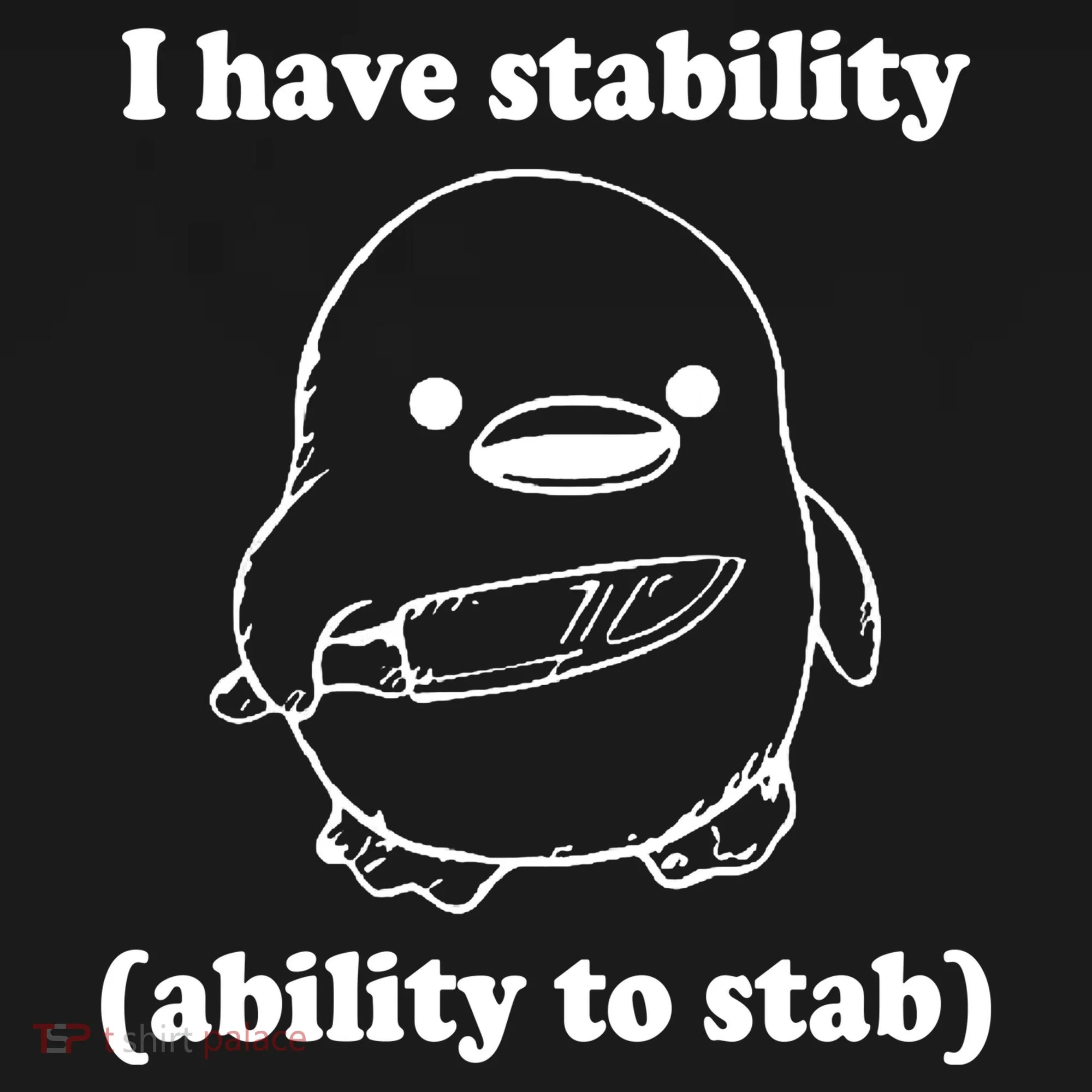 I Have Stability Ability To Stab Funny Women's T-Shirt