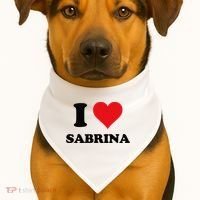 I Heart Sabrina First Name I Love Personalized Stuff USA-Made Doggie Bandana thumb 1