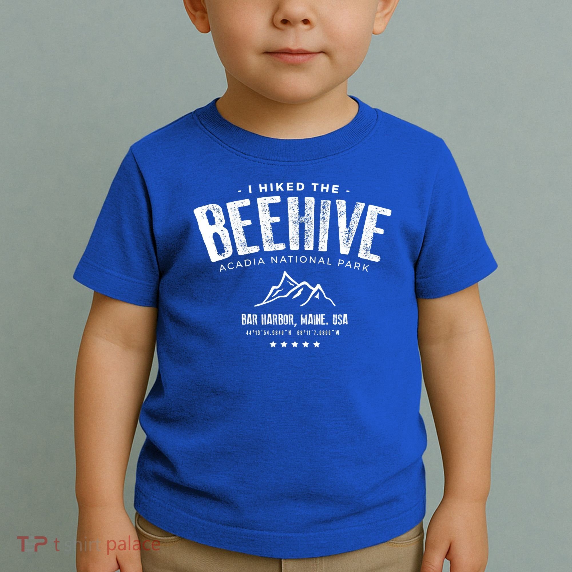 I Hiked The Beehive Trail Acadia National Park Gift Toddler T-Shirt