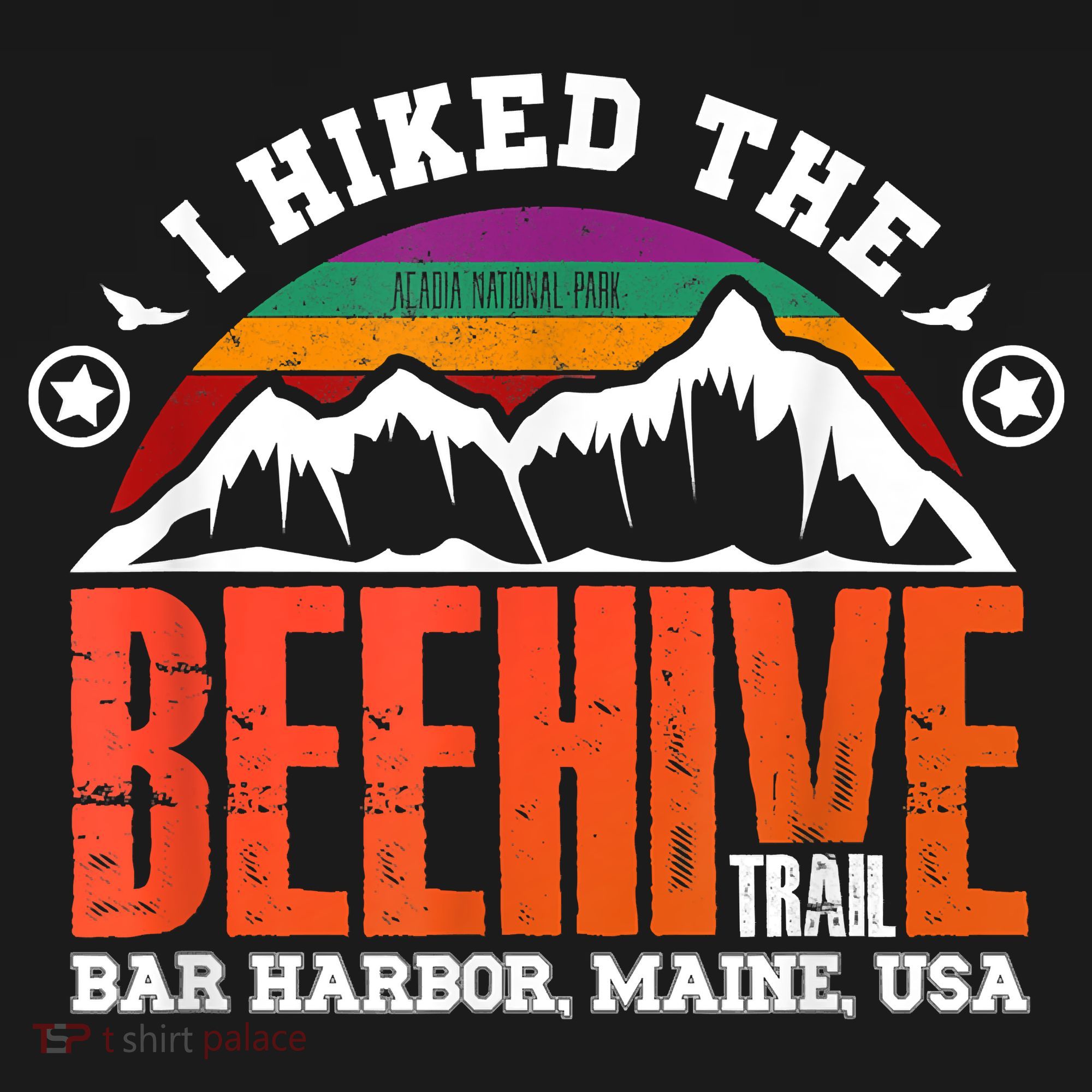 I Hiked The Beehive Trail Acadia National Park Toddler Hoodie