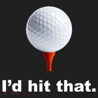 I'd Hit That Funny Golf Tumbler thumb 3