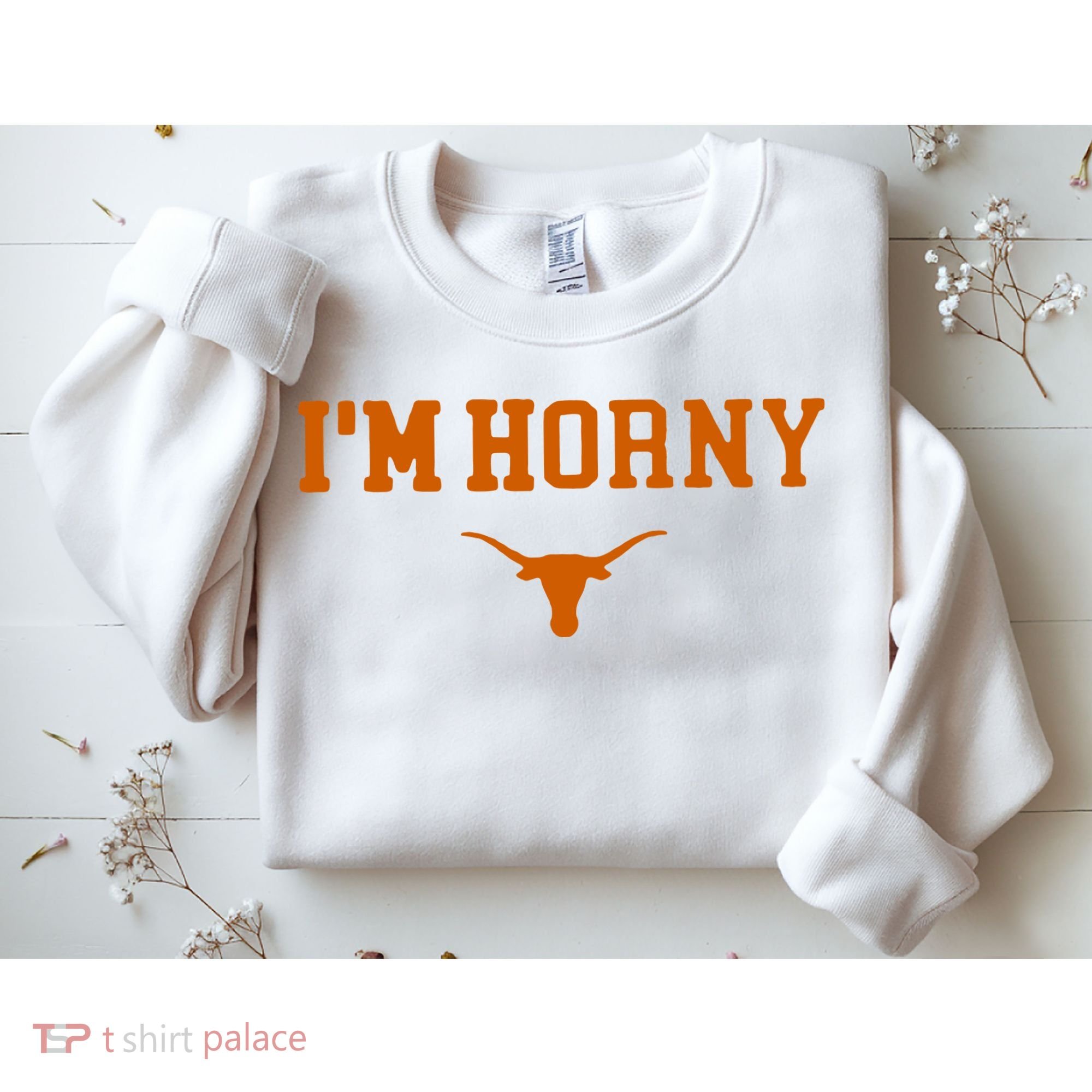 I’m Horny Texas Sweatshirt