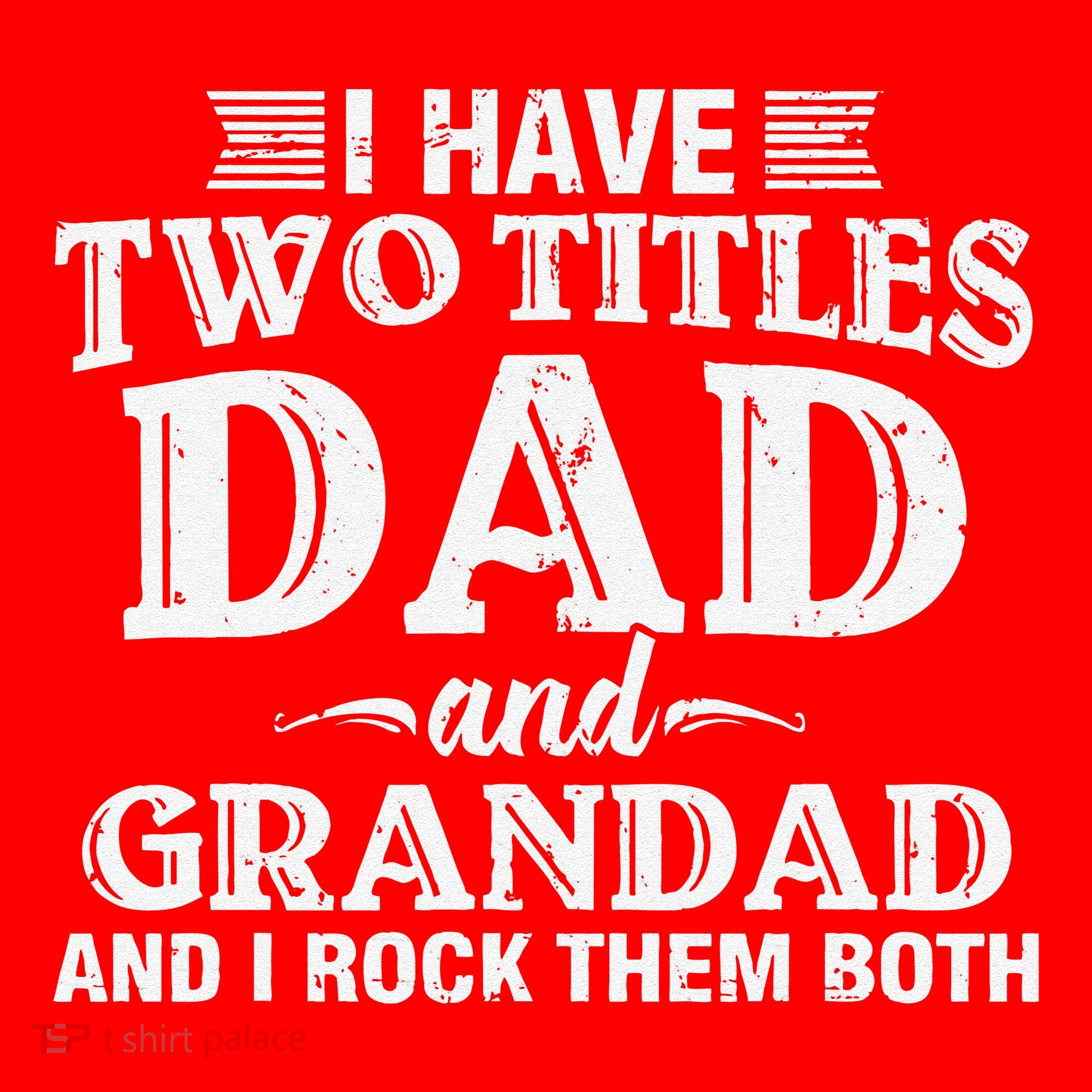 I Have Two Titles Dad And Grandad Funny Grandpa Fathers Day Santa Hat