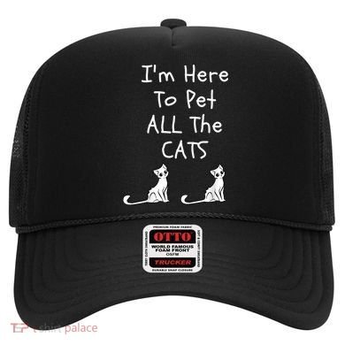 I'm Here To Pet All The Cats Hat