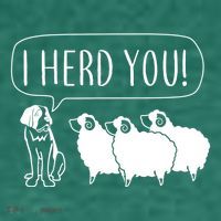 I Herd You Women's T-Shirt thumb 6