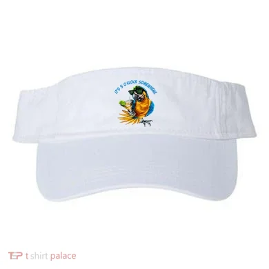 Visor