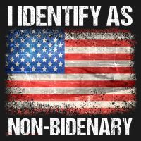 I Identify As NonBidenary Shirt Funny Anti Biden Women's Hoodie thumb 2