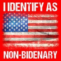 I Identify As NonBidenary Shirt Funny Anti Biden Santa Hat thumb 1