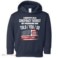 I Identify As A Conspiracy Theorist Pronouns Are Told You So Toddler Hoodie thumb 0