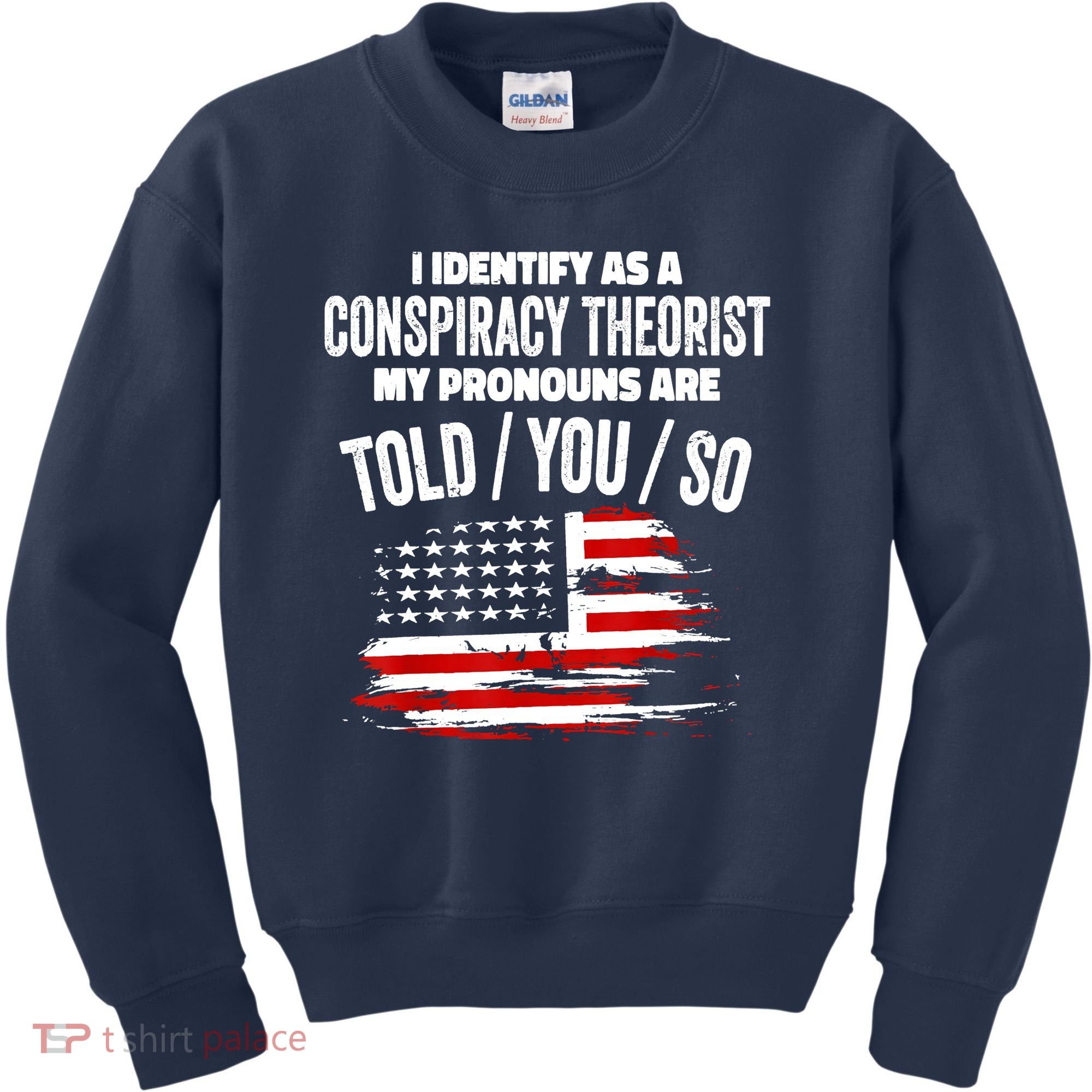 I Identify As A Conspiracy Theorist Pronouns Are Told You So Kids Sweatshirt