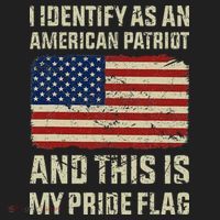 I Identify As An American Patriot This Is My Pride Flag Beanie thumb 2