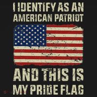 I Identify As An American Patriot This Is My Pride Flag Ornament thumb 1