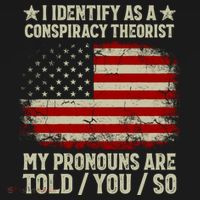 I Identify As A Conspiracy Theorist Pronouns Are Told You So Ornament thumb 1
