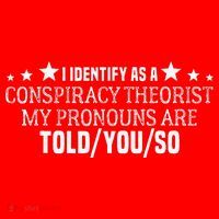 I identify as a conspiracy theorist pronouns are Told You so  Santa Hat thumb 1