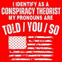 I Identify As A Conspiracy Theorist My Pronouns Are Told You So Santa Hat thumb 1