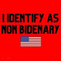 I Identify As Non Bidenary Santa Hat thumb 1