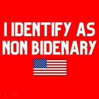 I Identify As Non Bidenary Kids Hoodie thumb 5