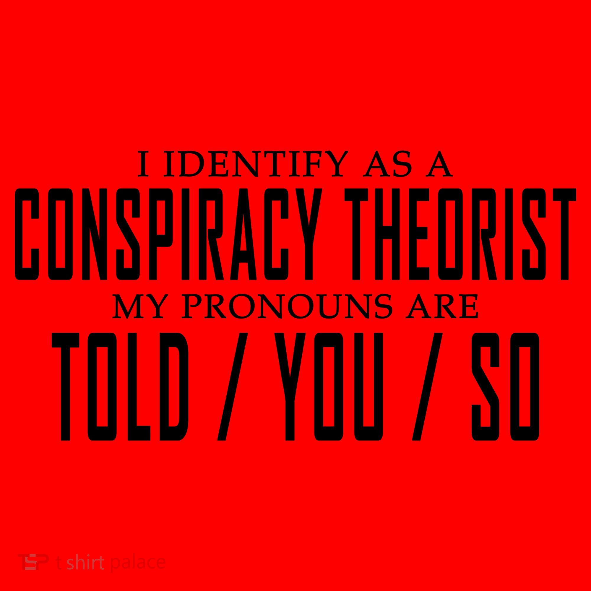 I Identify As A Conspiracy Theorist Santa Hat