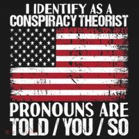 I Identify As A Conspiracy Theorist Pronouns Are Told You So Ornament thumb 1