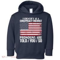 I Identify As A Conspiracy Theorist Pronouns Are Told You So Toddler Hoodie thumb 0