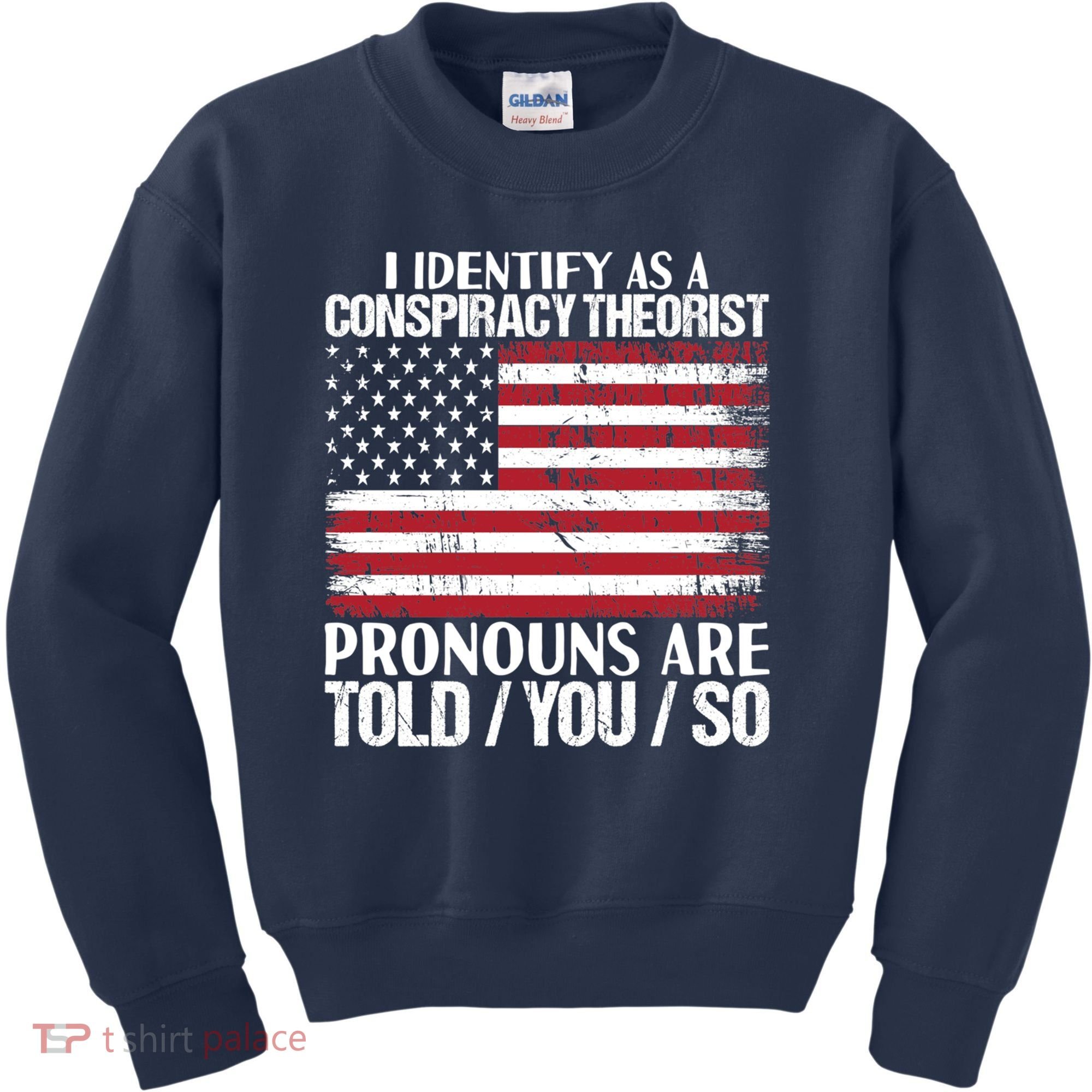 I Identify As A Conspiracy Theorist Pronouns Are Told You So Kids Sweatshirt