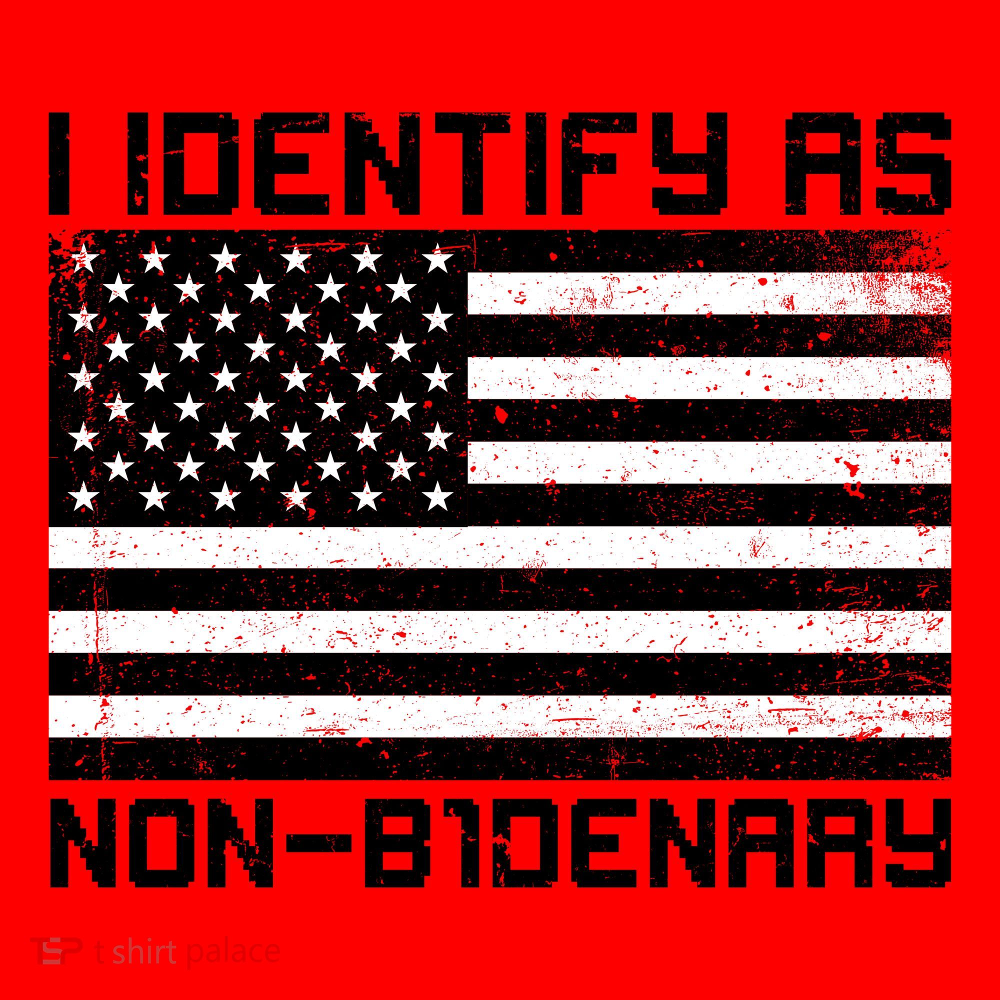 I Identify As Non B1denary USA American Flag Santa Hat