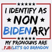 I Identify As Non Bidenary My Pronouns Are Fjb Lets Go Brandon Women's Hoodie thumb 2