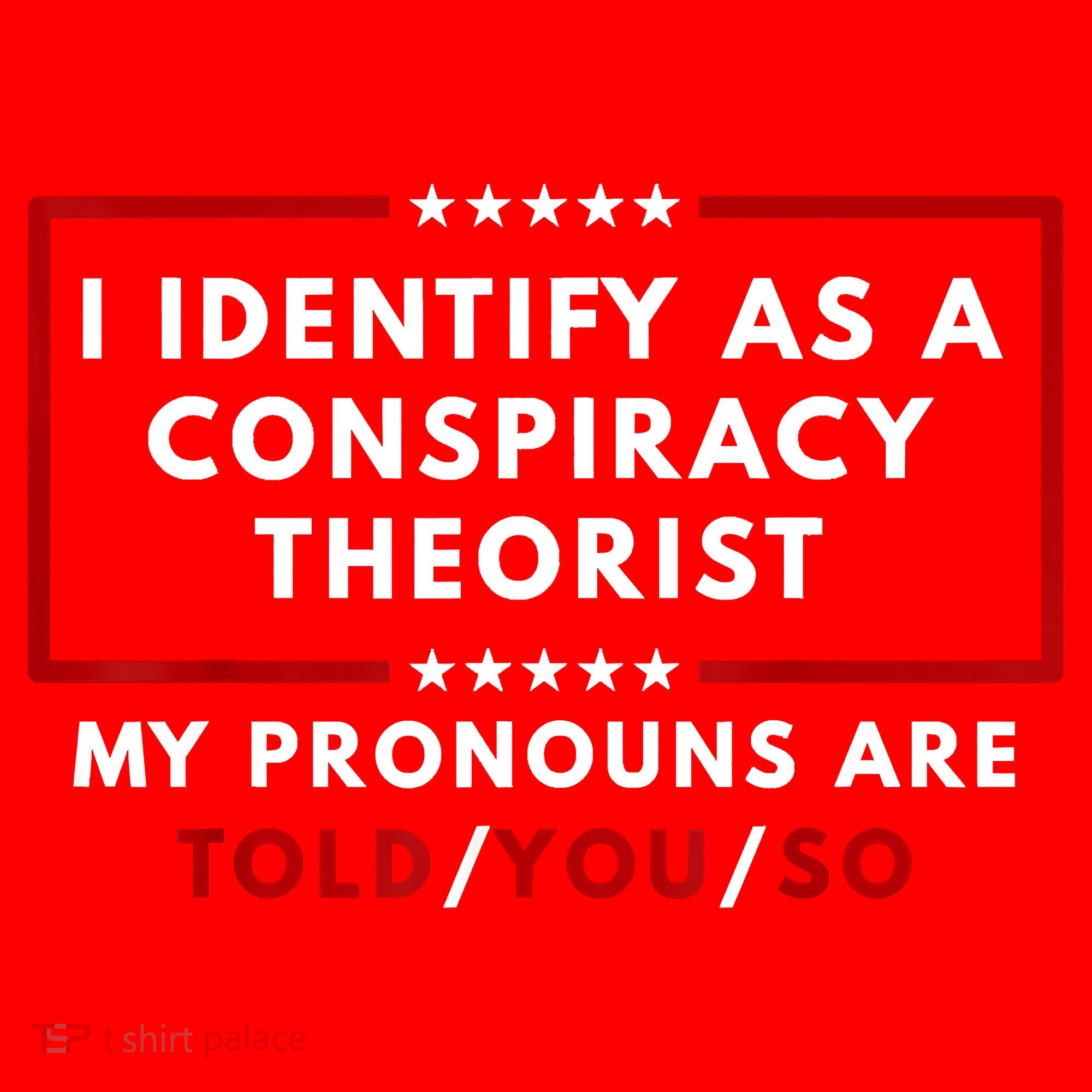 I Identify As A Conspiracy Theorist My Pronouns Are Told Santa Hat