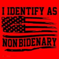I Identify As Non Bidenary Anti Joe Biden Santa Hat thumb 1