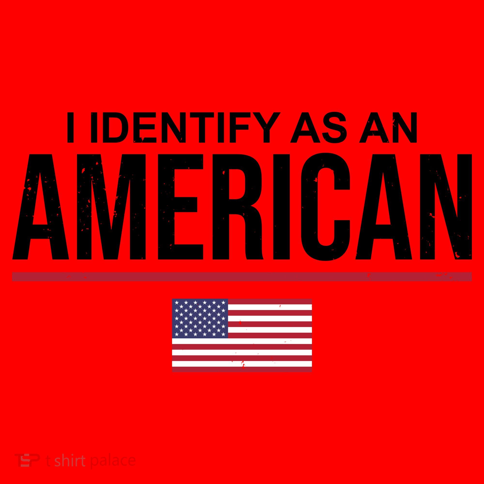 I Identify As An American USA Flag Santa Hat