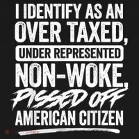 I Identify As An Over Taxed Under Represented Non Woke Bissed Off American Citiz Kids Long Sleeve Shirt thumb 2