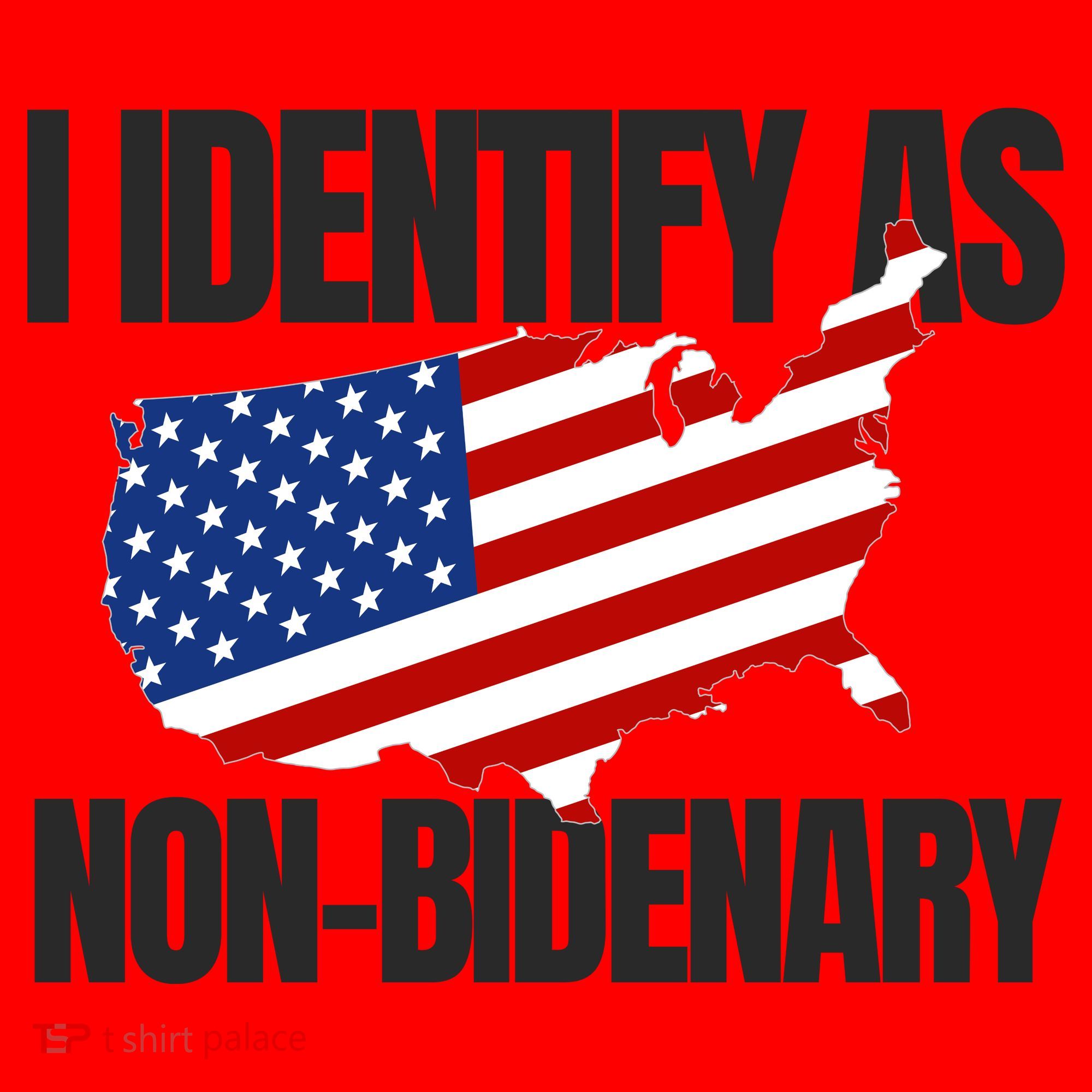 I Identify As Non Bidenary Santa Hat