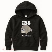 Ibs I Be Shittin Raccoon Funny Kids Hoodie thumb 0