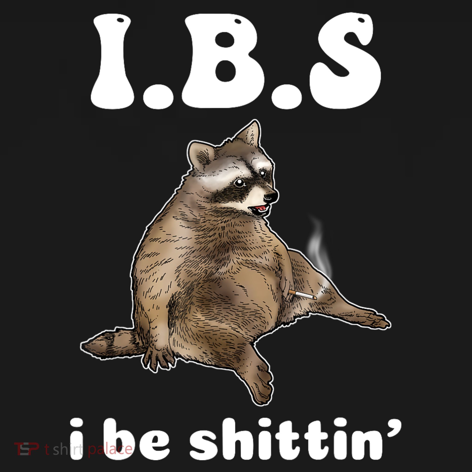 Ibs I Be Shittin Cute Raccoon Funny Women's Hoodie