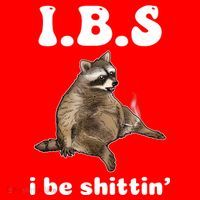 Ibs I Be Shittin Cute Raccoon Funny Santa Hat thumb 1