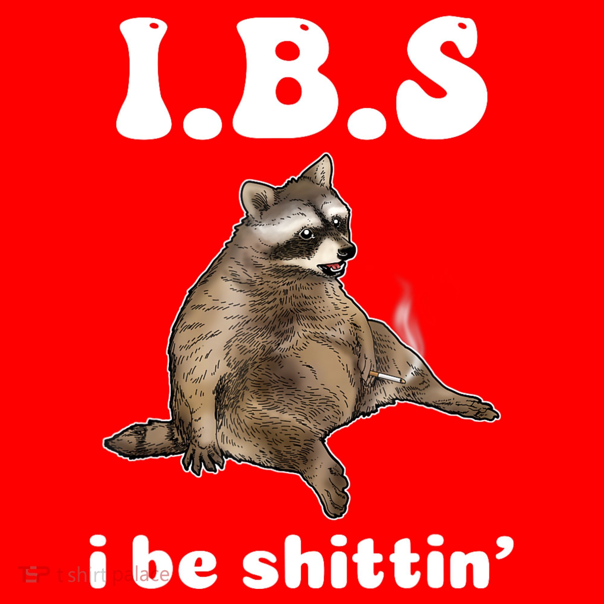 Ibs I Be Shittin Cute Raccoon Funny Santa Hat