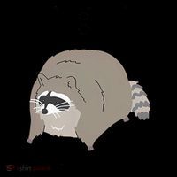 IBS I Be Shittin' Raccoon Funny Coffee Mug thumb 5
