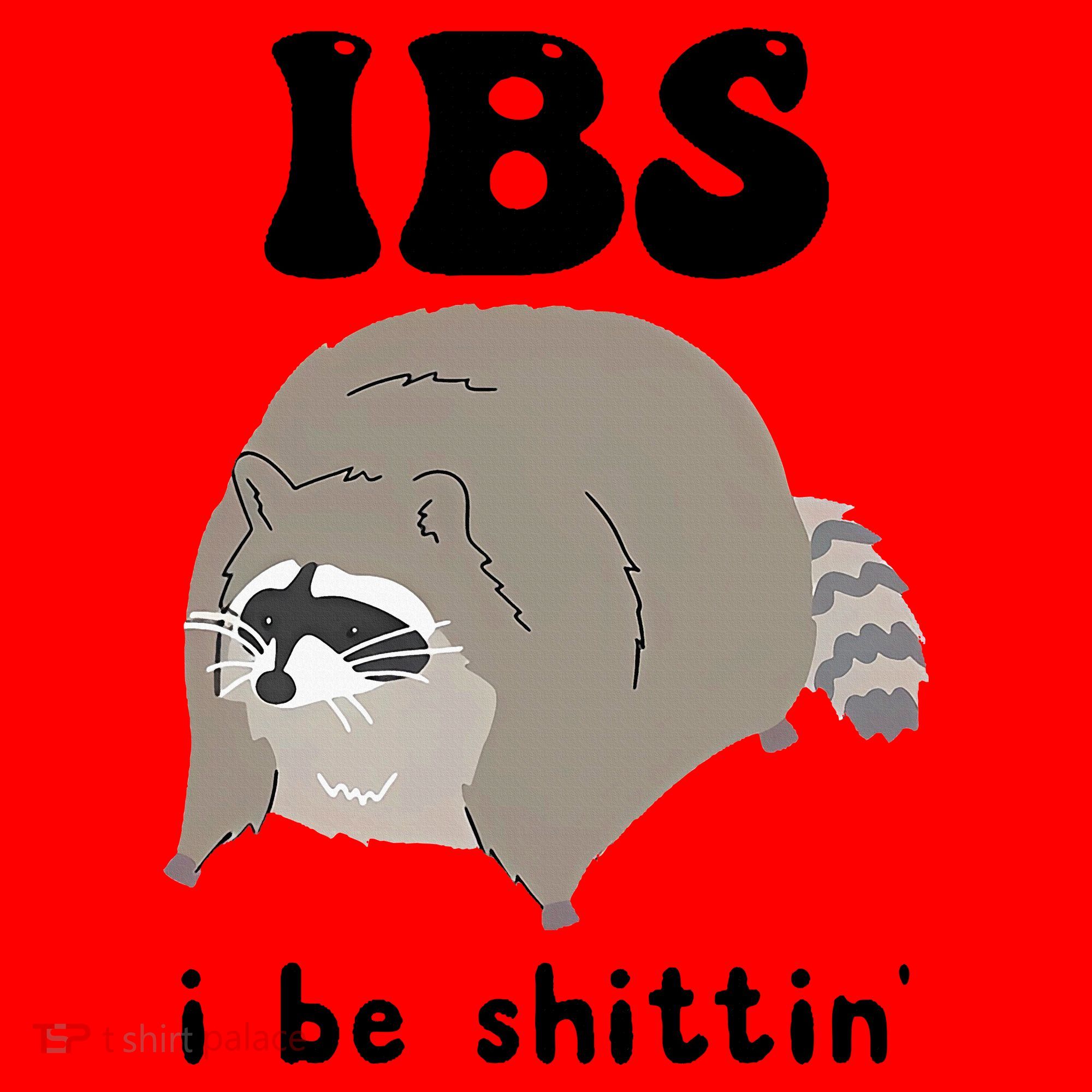 IBS I Be Shittin' Raccoon Funny Santa Hat